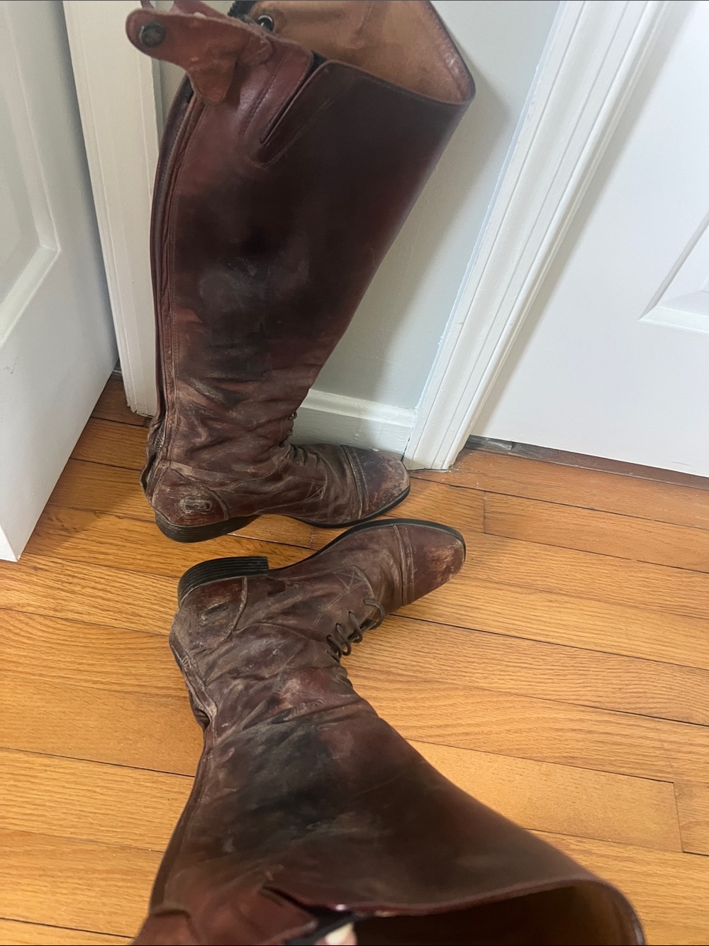 Ariat Tall field Leather Riding Boots in cognac brown - Picture 4 of 5
